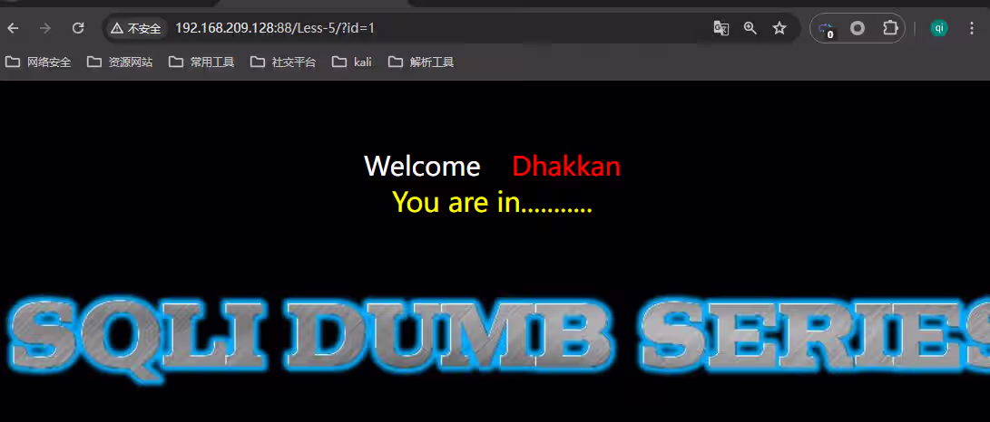 图片[3]-从零开始学SQL注入（sql十大注入类型）：技术解析与实战演练-泷羽Sec