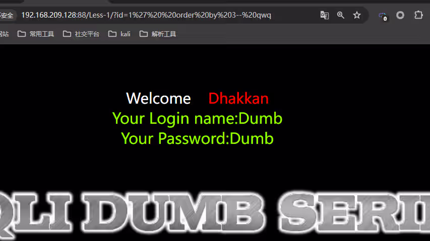 图片[5]-从零开始学SQL注入（sql十大注入类型）：技术解析与实战演练-泷羽Sec