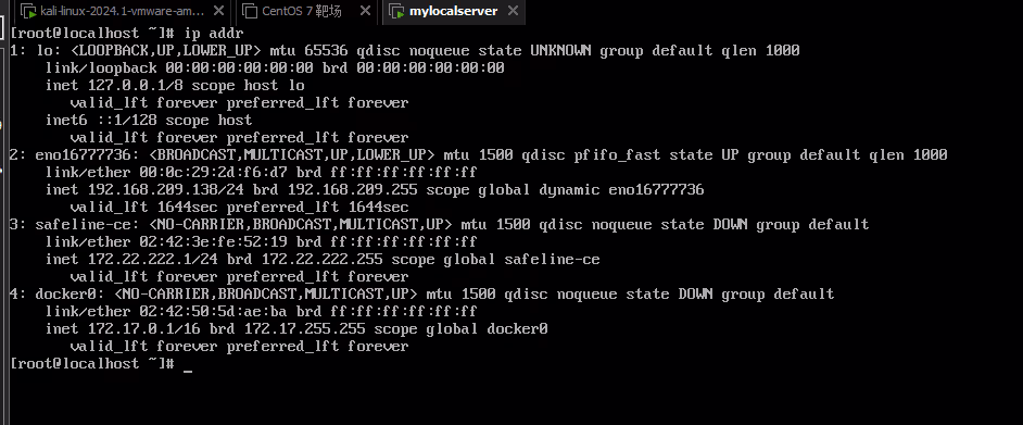 image-20240624151521862