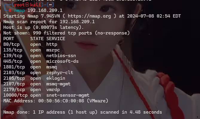 内网隐蔽扫描，Nmap高级用法-泷羽Sec