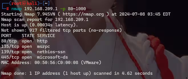 image-20240708154655513