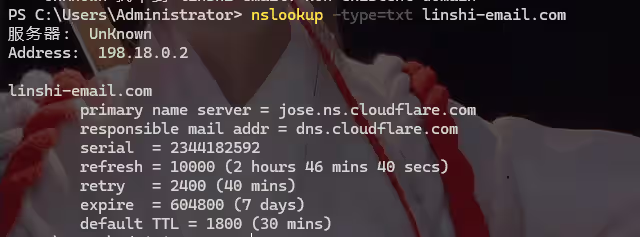 image-20240711164805308