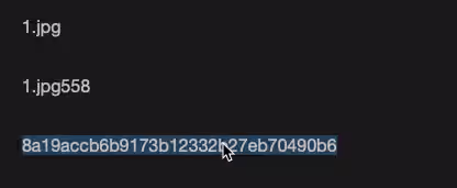 image-20240802094005577