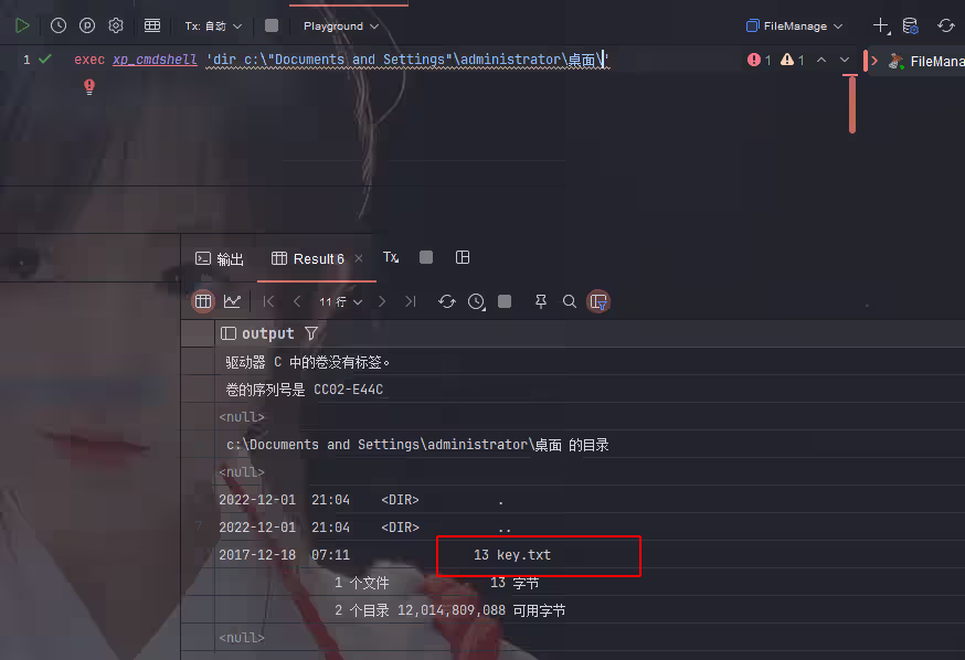 image-20240803143500156