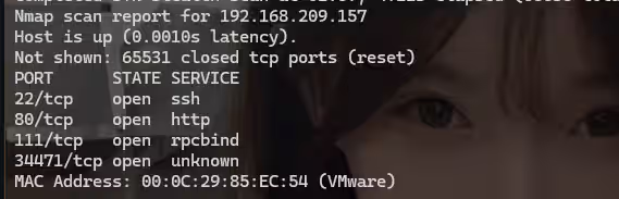 image-20240818135805710