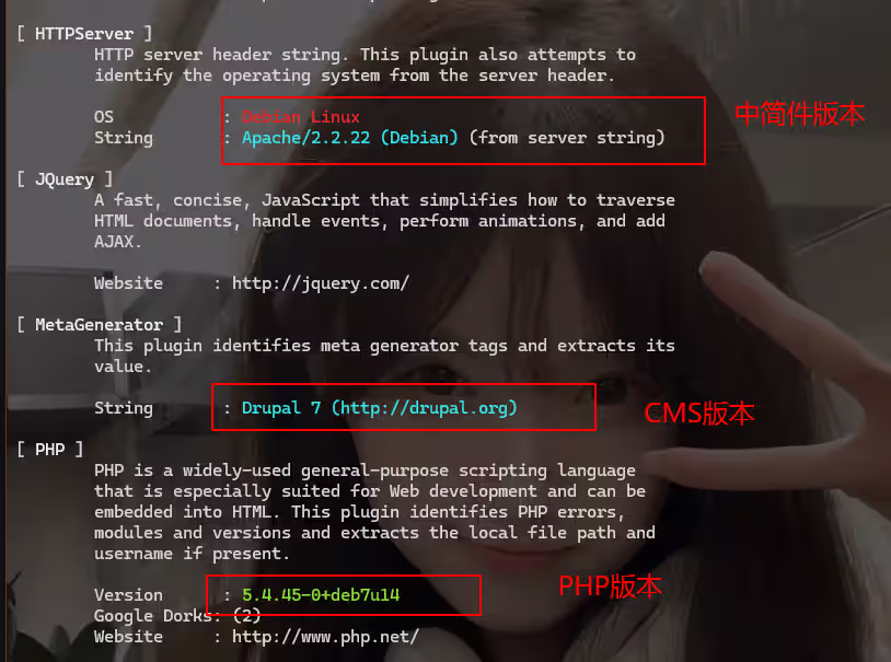 image-20240818140459776