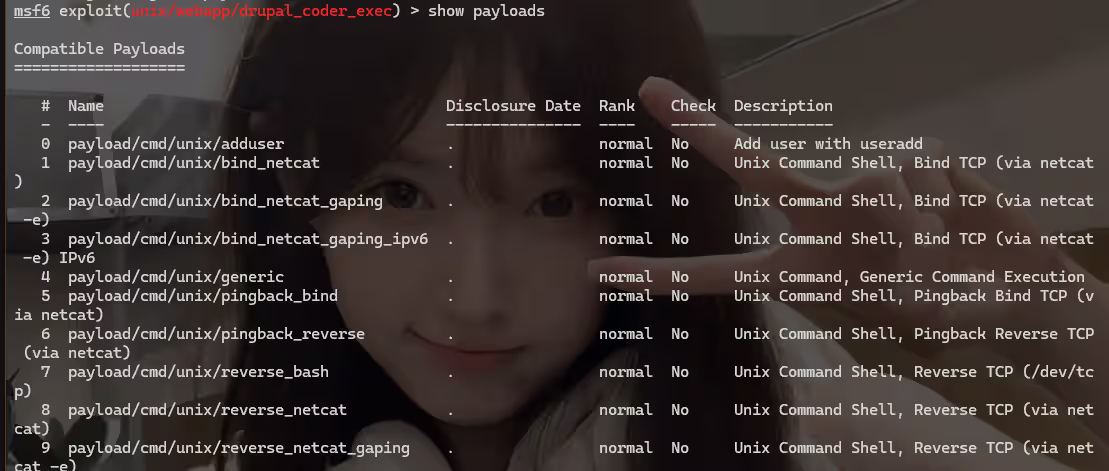 image-20240818141459438