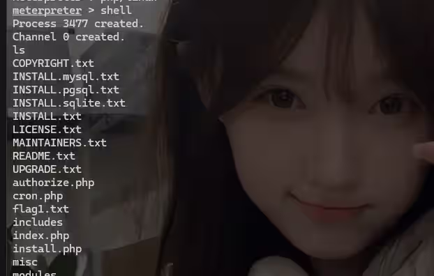 image-20240818142745872