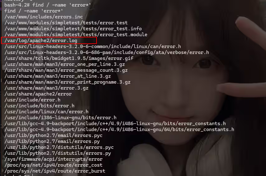 image-20240818192956744