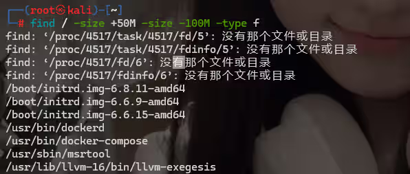 image-20240818235753480