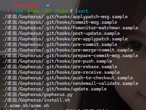 image-20240819000336113