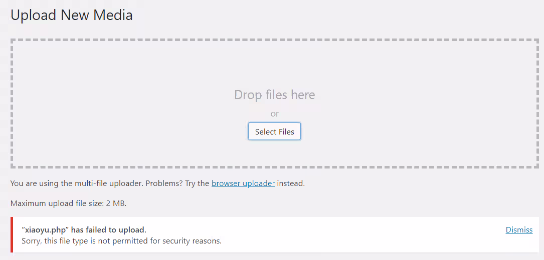 image-20240820110019969