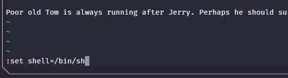 image-20240820131620410