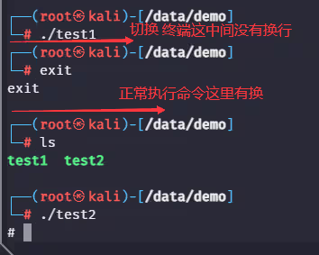 图片[5]-渗透测试rbash逃逸,rbash逃逸的12种方式-泷羽Sec