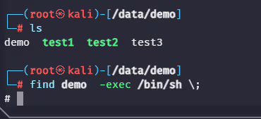 图片[25]-渗透测试rbash逃逸,rbash逃逸的12种方式-泷羽Sec