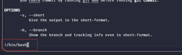 image-20240821174408157