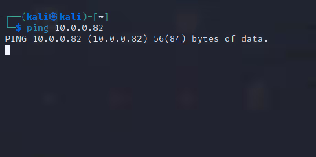 image-20240823144407488