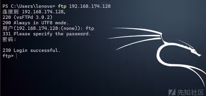 image-20240825203118324