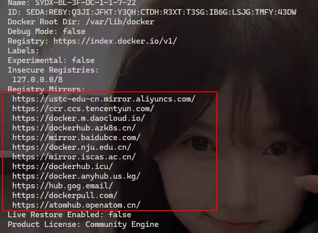 image-20240829214828416