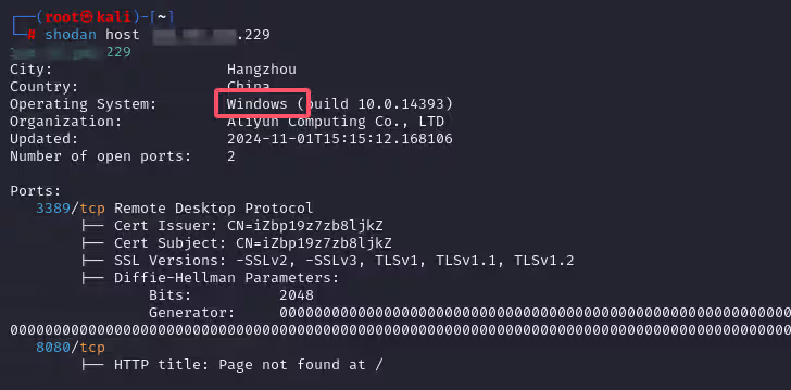 image-20241101232504487