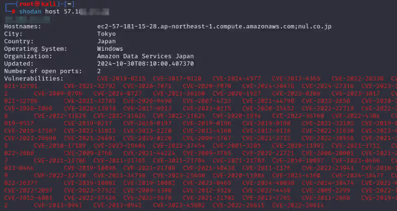 image-20241101233926877