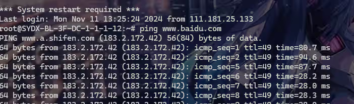 image-20241111214132393