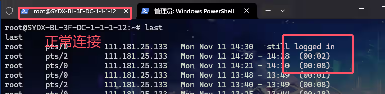 image-20241111223225381