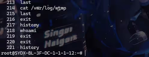 image-20241111234033779