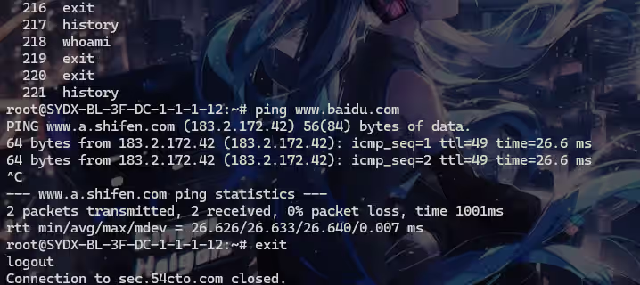 image-20241111234146377