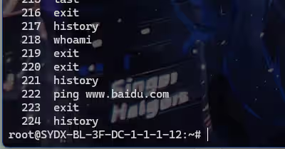 image-20241111234207250