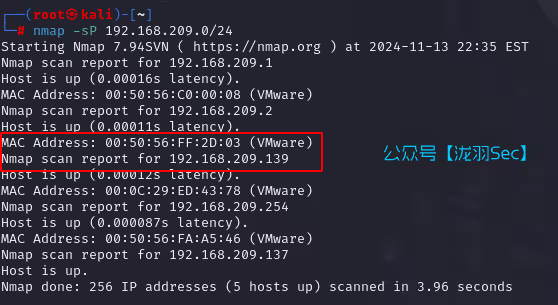 image-20241114113606201