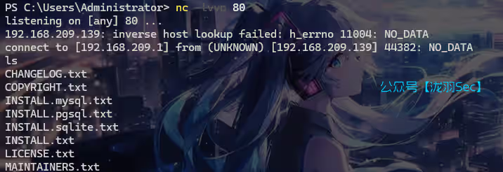 image-20241114142856535