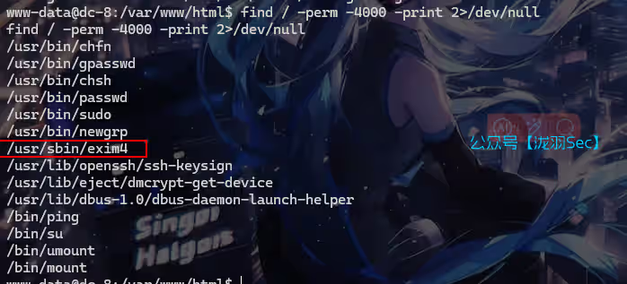 image-20241114150946994