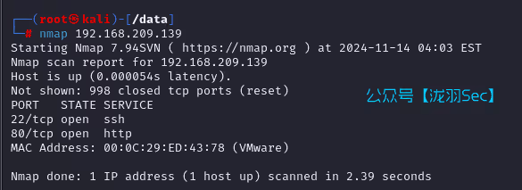 image-20241114170433946