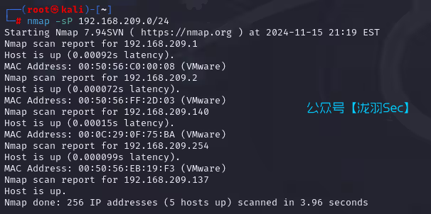 image-20241116102400639