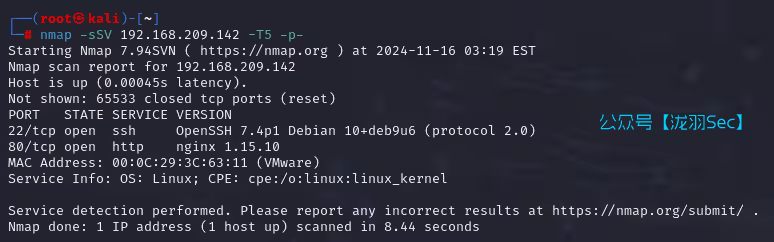 image-20241116161952225