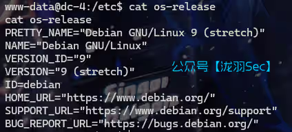 image-20241116173424998