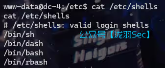 image-20241116174113528