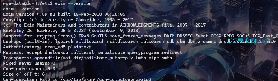 image-20241116174916335