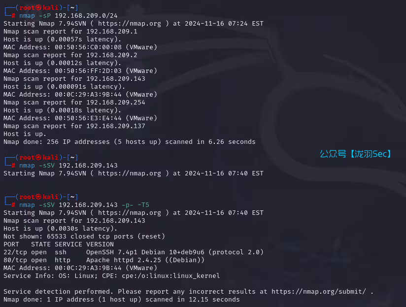 image-20241116204129071