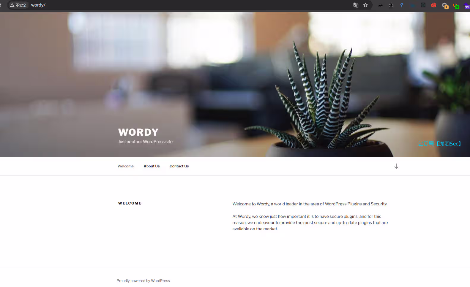 image-20241116205515902