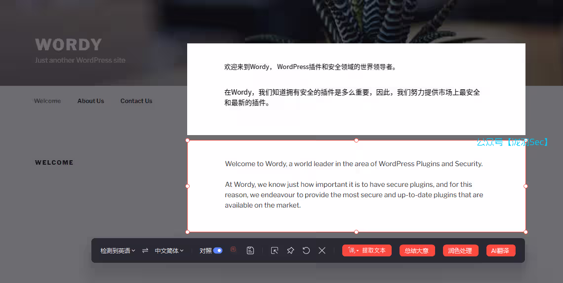 image-20241116205650743